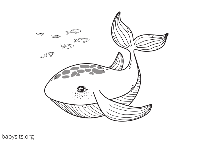 Free sea animal coloring pages