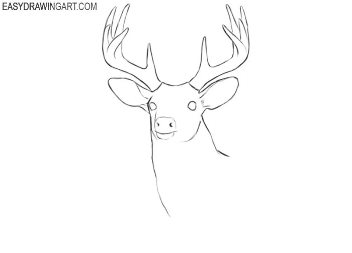 A deer head easy antler drawing