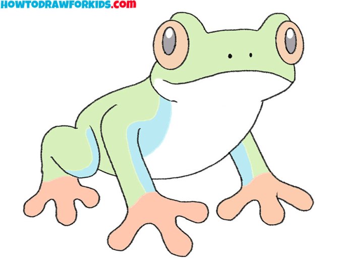 Tree Frogs Drawing Easy A Beginners Guide