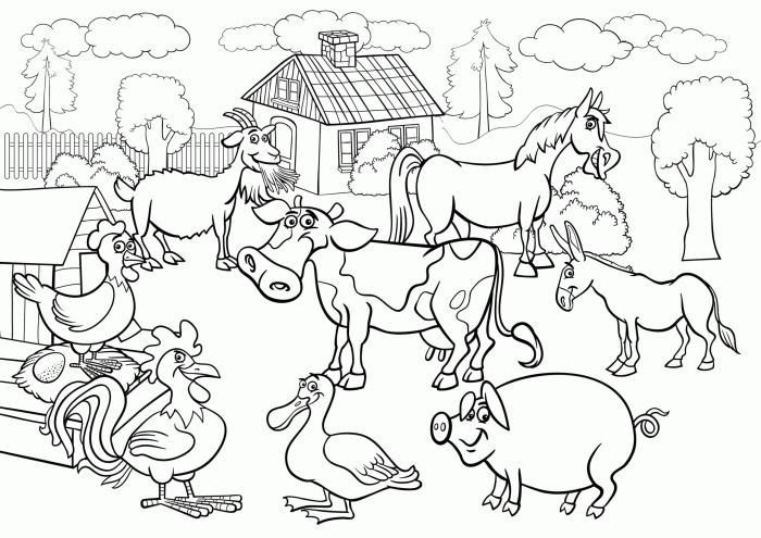 Preschool Farm Animal Coloring Pages