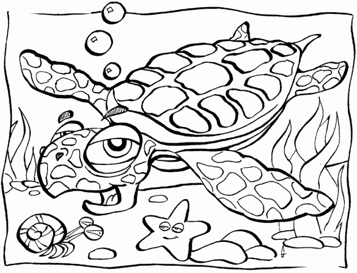 Coloring book pages ocean animals