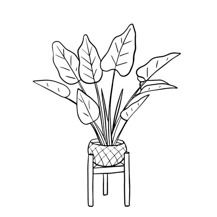 Plants and Animals Coloring Pages Fun for All Ages