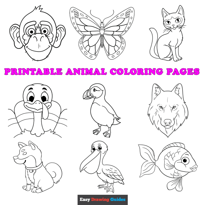 Coloring Sheets for Kids Animals A Comprehensive Guide