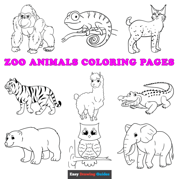 Zoo animal coloring pages free printable