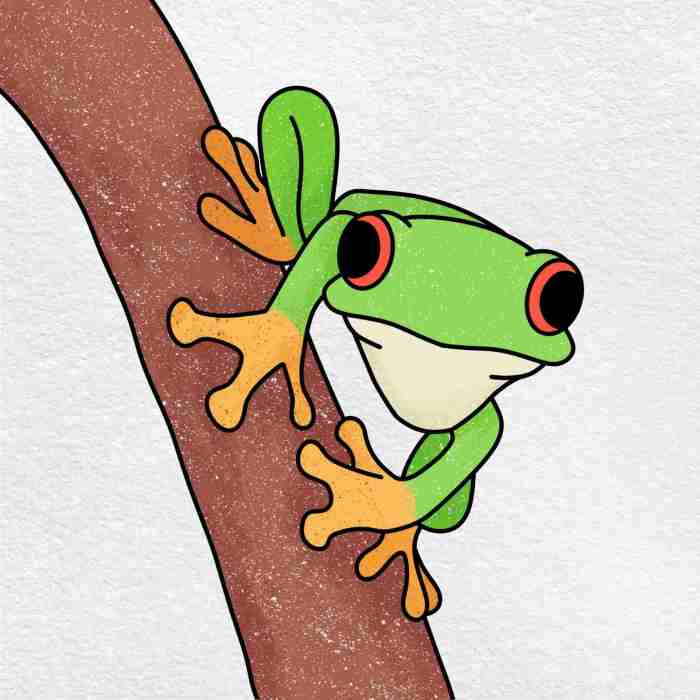 Tree frogs drawing easy