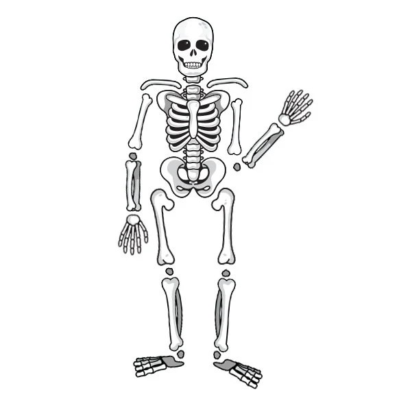 Skeleton Halloween Stick Figure Drawing Easy!