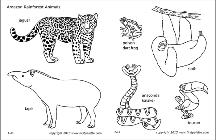 Amazon Animal Zen Coloring Books A Deep Dive