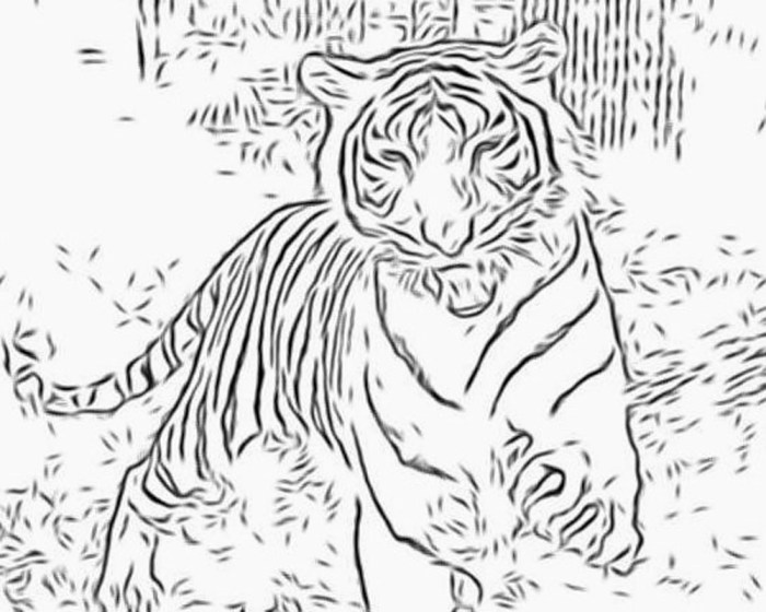 Realistic Wild Animal Coloring Pages