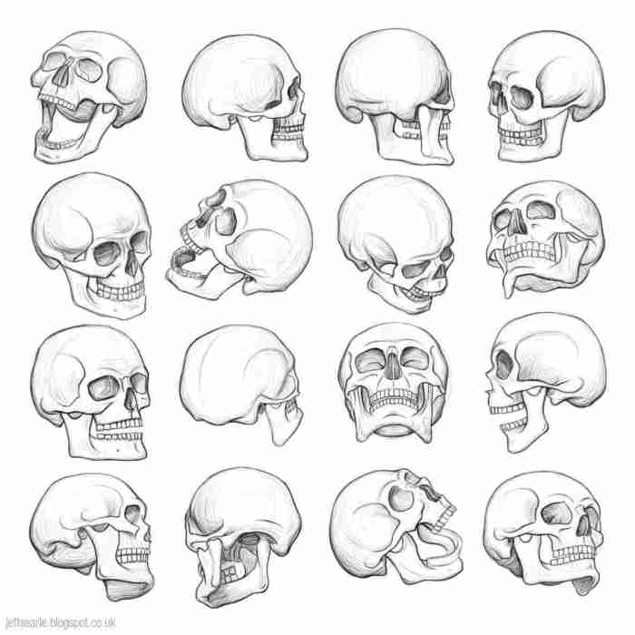 A easy skull drawing