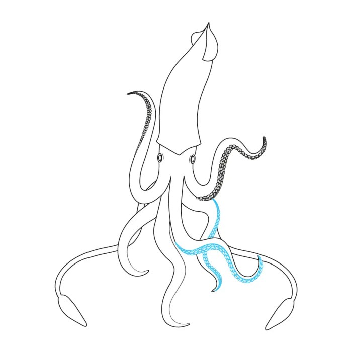 Drawing of a squid easy